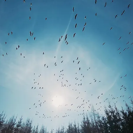 2-bedroom, Fenced Yard, Sauna, 10 Min To *