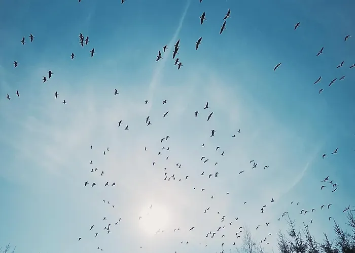 2-bedroom, Fenced Yard, Sauna, 10 Min To *