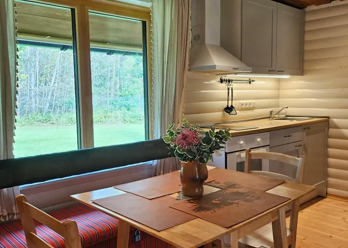 2-bedroom, Fenced Yard, Sauna, 10 Min To Hébergement de vacances Pärnu